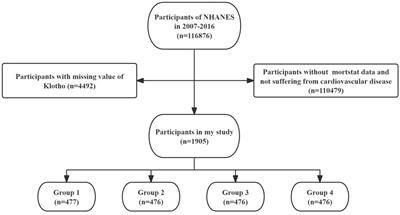 U-shaped association between serum Klotho and all-cause mortality in US cardiovascular patients: a prospective cohort study